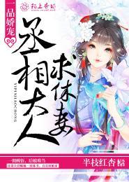 一品娇宠丞相大人求休妻有声