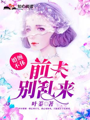 婚缠不休前夫别乱来免费阅读