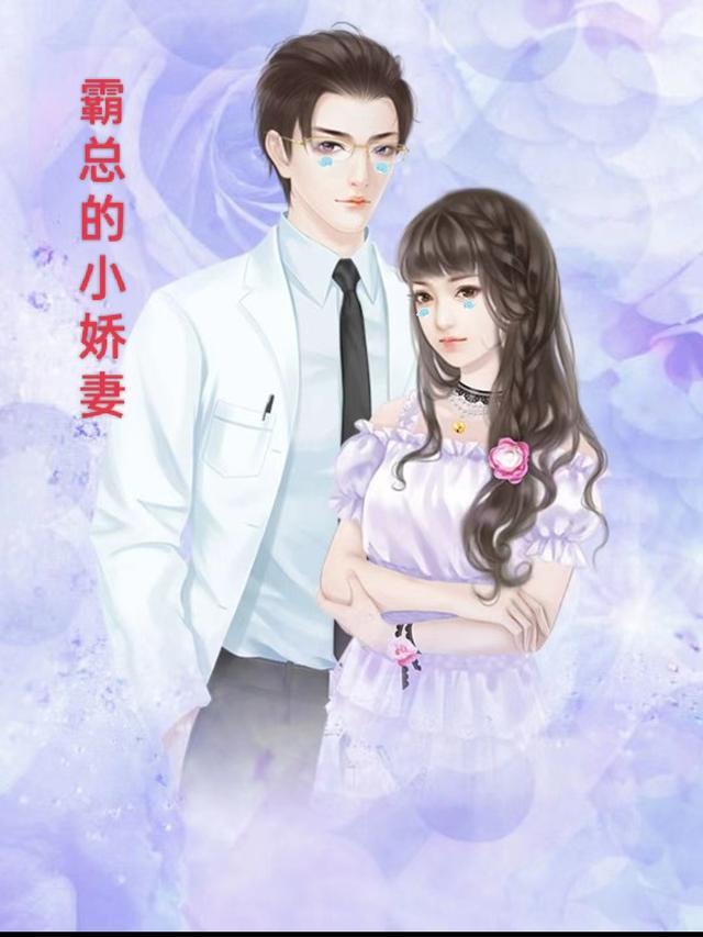 霸总的小娇妻之追妻火葬场