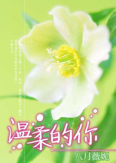 温柔的你 王杰 林忆莲