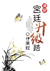 清穿之雍正后宫全文阅读