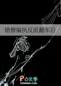 错撩偏执反派翻车后免费阅读全文