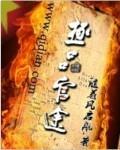 极品官途 思路客