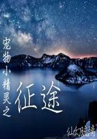宠物小精灵之王者的征途