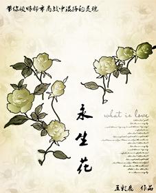 永生花的寓意和象征