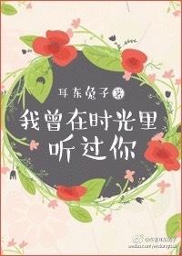 我曾在时光里听过你 简介